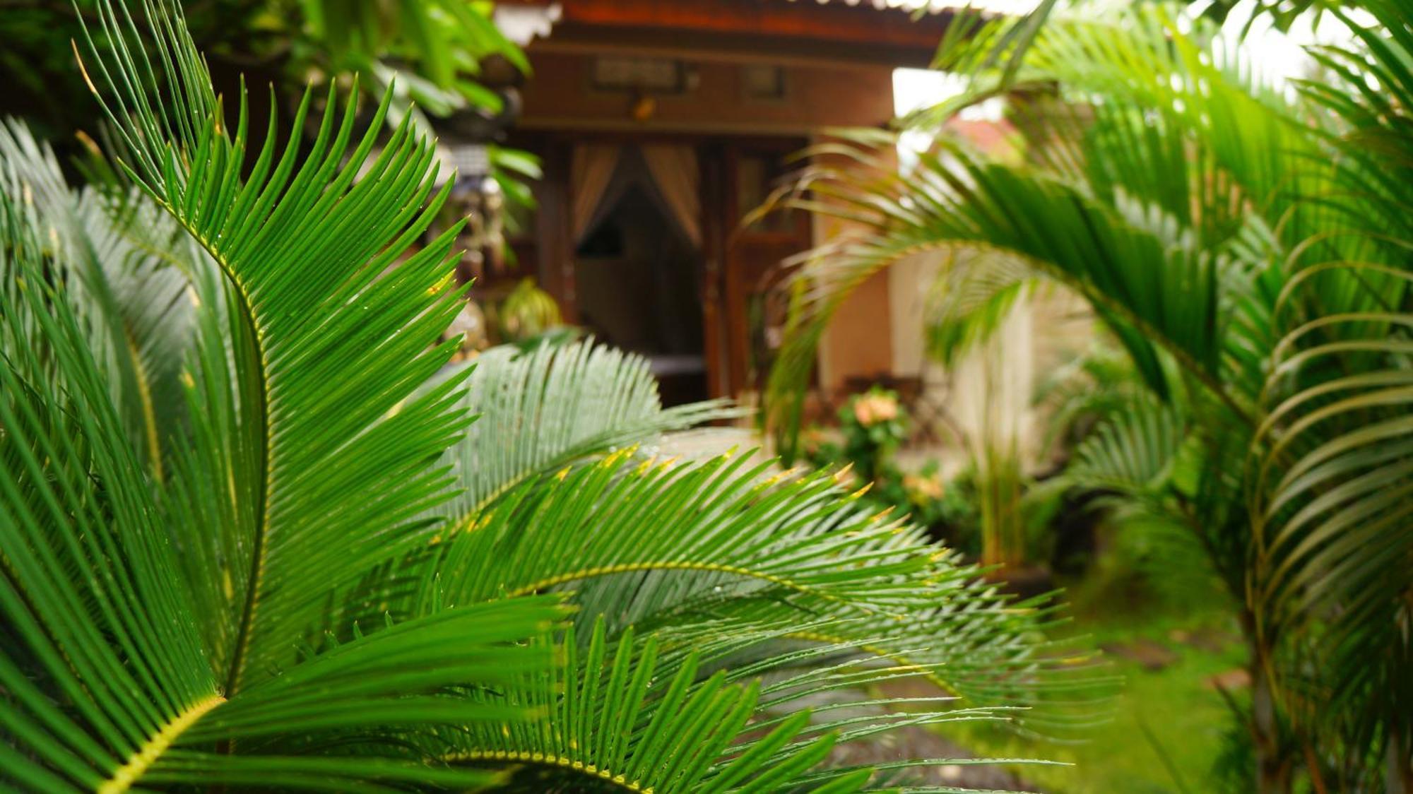 Rumahku Homestay Амед Экстерьер фото